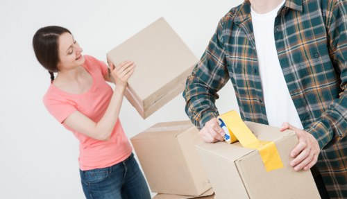 Professional removalists assisting with a house move